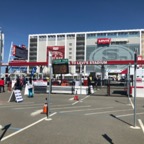 IMG_8762.jpeg