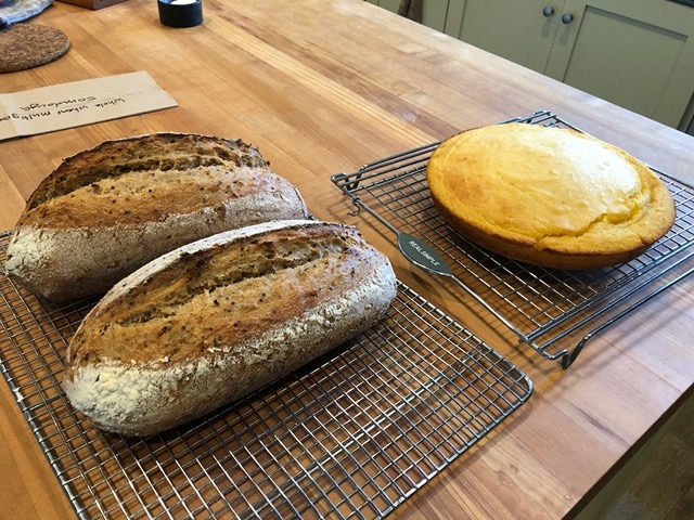 Two sourdough loaves and a cornbread