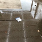 IMG_6537.jpeg