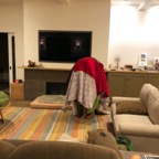 IMG_6548.jpeg