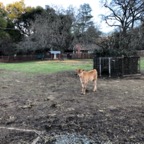 IMG_6583.jpeg