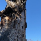 IMG_6751.jpeg