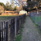 IMG_6778.jpeg