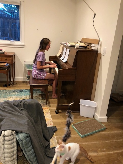 Ellie practicing with the new kitties