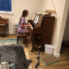 IMG_7129.jpeg