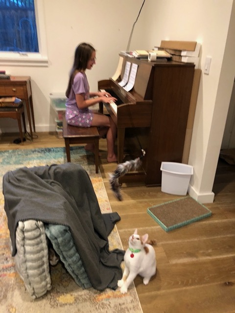They seem comfortable.  See kitty-specific pages for more.