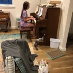 IMG_7130.jpeg