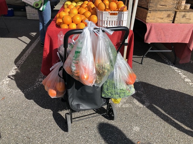 Loaded market cart