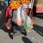 IMG_7296.jpeg