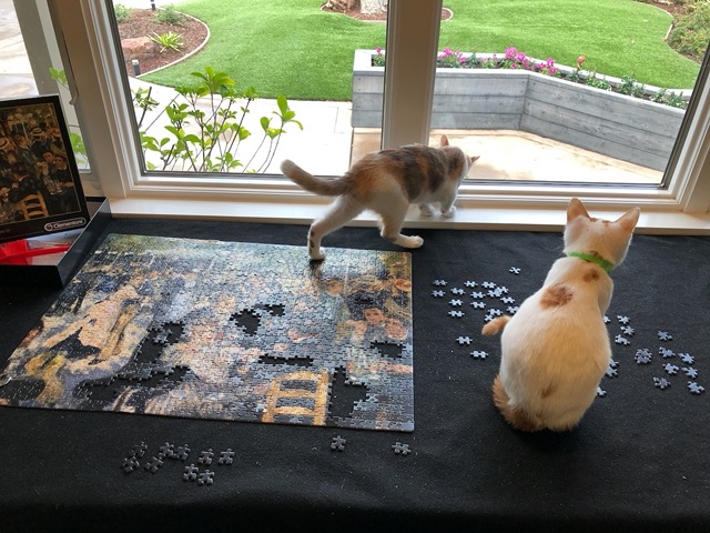The new kitties on the puzzle