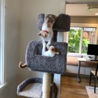 IMG_7333.jpeg