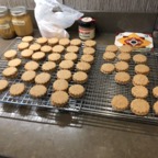 IMG_7347.jpeg