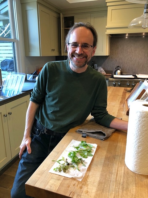 Mike's first lettuces