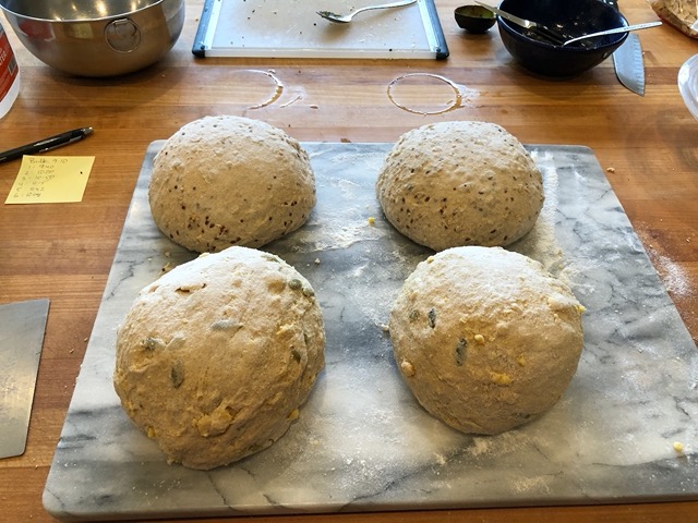Whole wheat multigrain loaves proofing