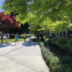 IMG_8615.jpeg