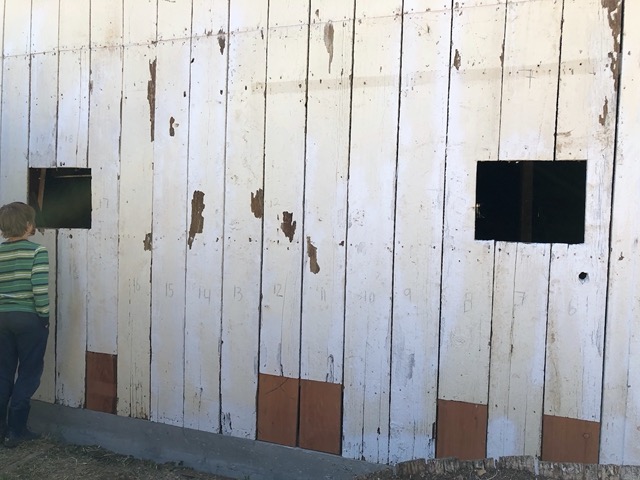 Numbered boards up at the farm