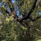 IMG_8792.jpeg
