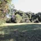 IMG_8794.jpeg