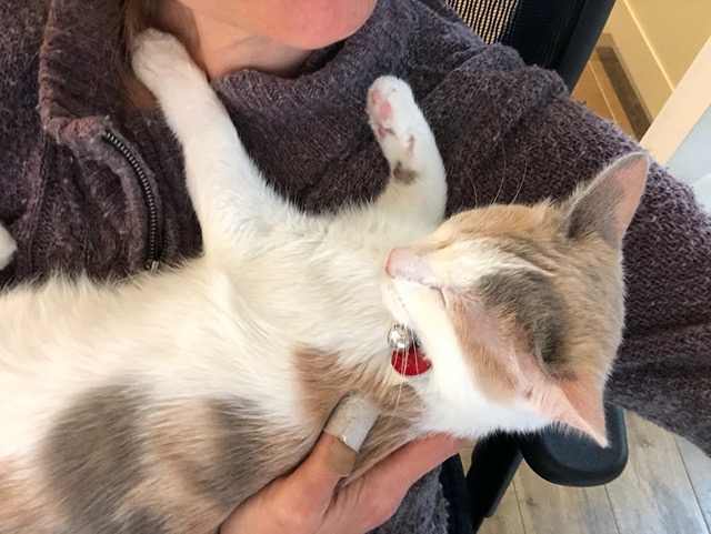 I can sit at my computer and work now