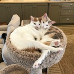 IMG_8842.jpeg