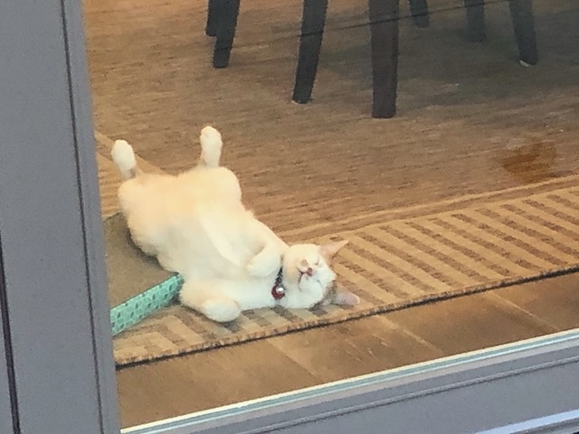 This doesn't look comfortable at all