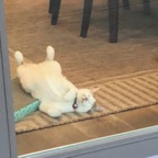 IMG_8846.jpeg