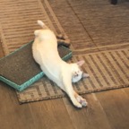 IMG_8848.jpeg