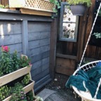 IMG_8558.jpeg