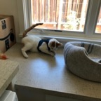 IMG_8866.jpeg