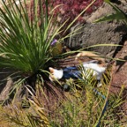 IMG_8872.jpeg