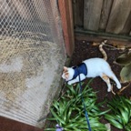 IMG_8874.jpeg