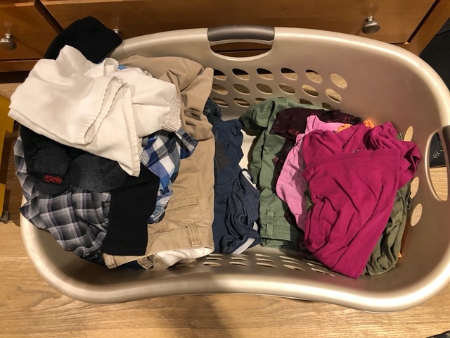 Ellie has started folding all the laundry, unasked