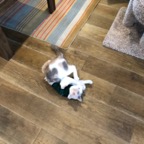 IMG_8903.jpeg