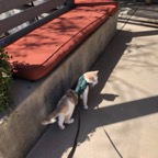 IMG_8912.jpeg