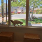 IMG_8914.jpeg