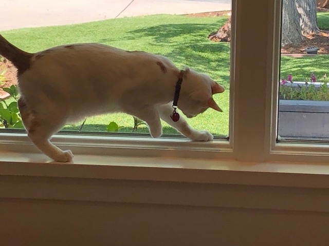He got one