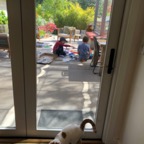 IMG_8949.jpeg