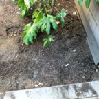 IMG_8951.jpeg