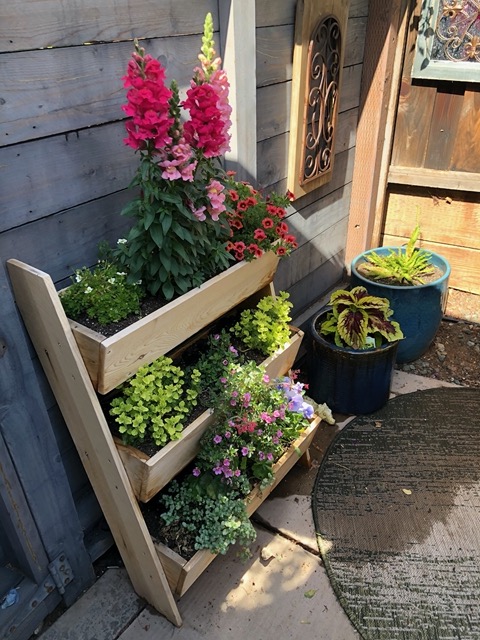 It goes under the fence and emerges at the base of this wood planter