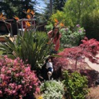 IMG_8985.jpeg