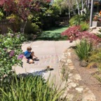 IMG_8990.jpeg