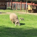 IMG_9003.jpeg