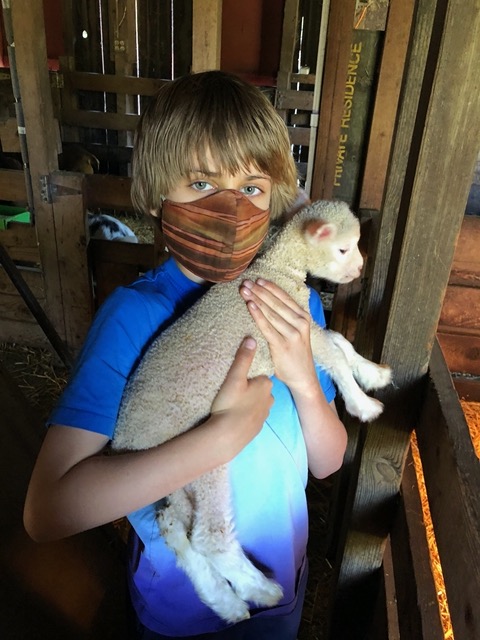 Owen with a newborn lamb, still in the barn