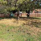 IMG_9018.jpeg