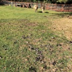 IMG_9024.jpeg