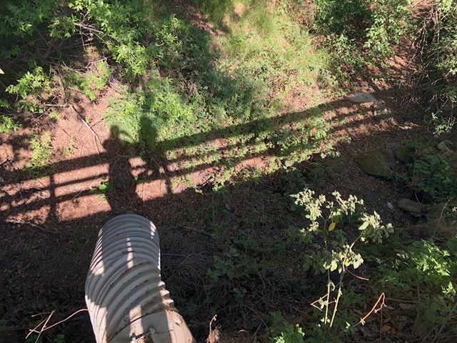 Then over the fence and down into the gully