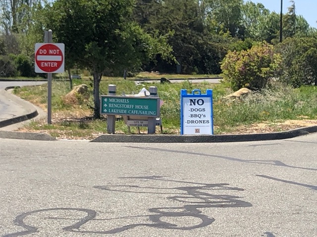 Then we head to Baylands for a walk.  'No drones' is a new addition to these signs