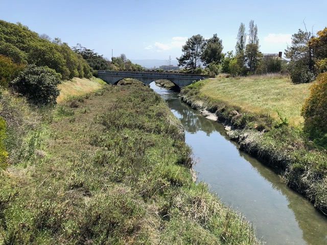 The end of one of the creeks, flowing into the bay