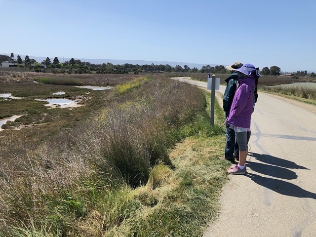 There's great birdwatching out here