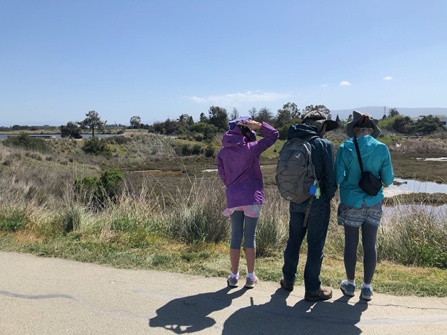 It's also SUPER windy, which is normal for the Bay
